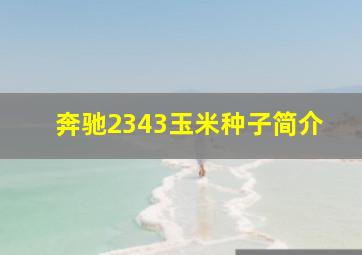 奔驰2343玉米种子简介