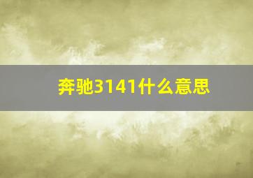 奔驰3141什么意思