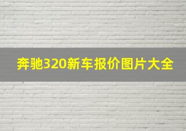 奔驰320新车报价图片大全