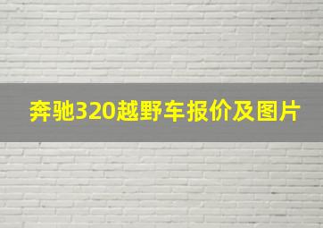 奔驰320越野车报价及图片