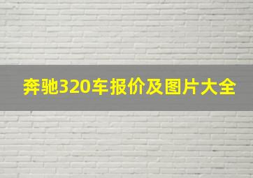 奔驰320车报价及图片大全