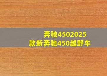 奔驰4502025款新奔驰450越野车