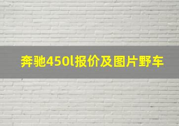 奔驰450l报价及图片野车