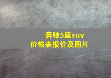 奔驰5座suv价格表报价及图片