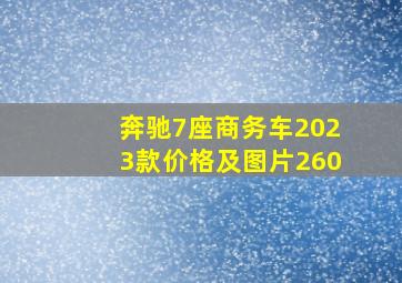 奔驰7座商务车2023款价格及图片260