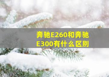 奔驰E260和奔驰E300有什么区别