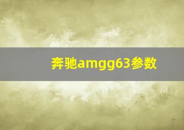 奔驰amgg63参数