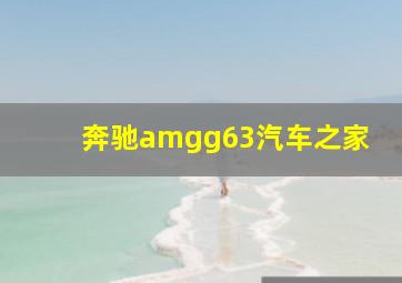 奔驰amgg63汽车之家