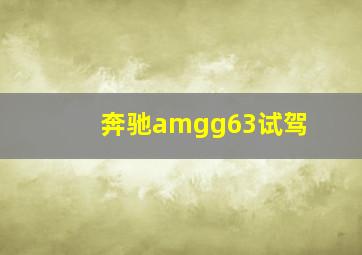 奔驰amgg63试驾