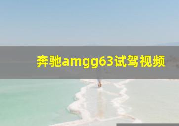 奔驰amgg63试驾视频