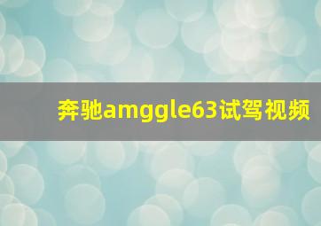 奔驰amggle63试驾视频