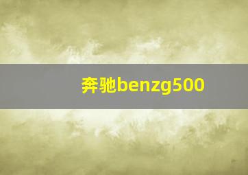 奔驰benzg500