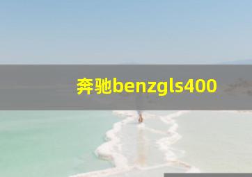 奔驰benzgls400