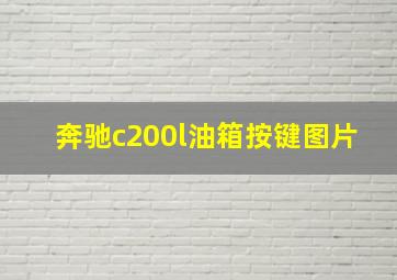 奔驰c200l油箱按键图片