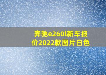 奔驰e260l新车报价2022款图片白色