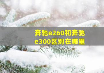 奔驰e260和奔驰e300区别在哪里