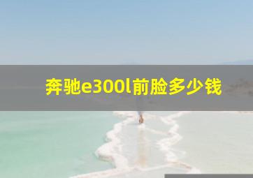 奔驰e300l前脸多少钱