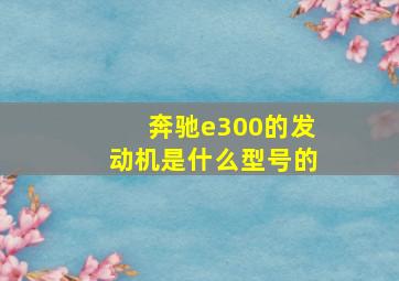 奔驰e300的发动机是什么型号的