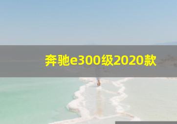 奔驰e300级2020款