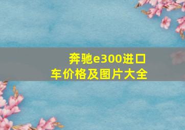 奔驰e300进口车价格及图片大全