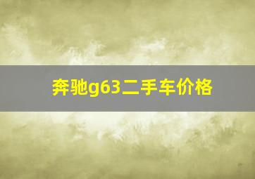 奔驰g63二手车价格