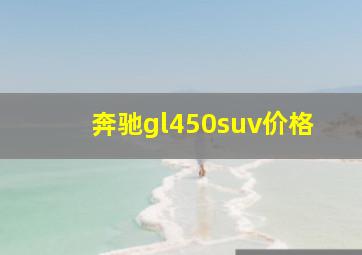 奔驰gl450suv价格