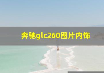 奔驰glc260图片内饰