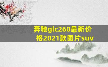 奔驰glc260最新价格2021款图片suv