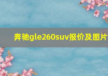 奔驰gle260suv报价及图片