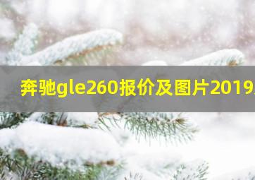 奔驰gle260报价及图片2019款