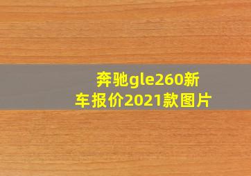 奔驰gle260新车报价2021款图片