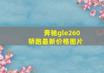 奔驰gle260轿跑最新价格图片