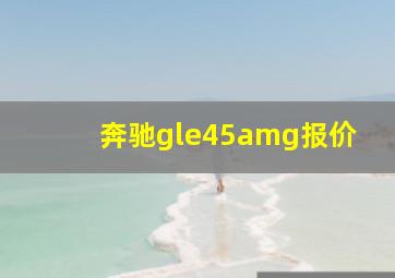 奔驰gle45amg报价