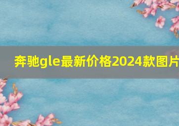 奔驰gle最新价格2024款图片