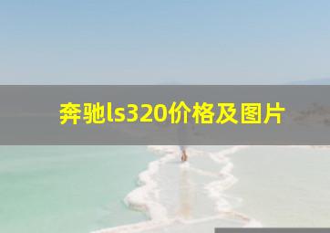 奔驰ls320价格及图片