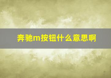 奔驰m按钮什么意思啊