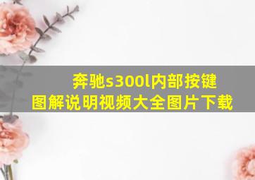 奔驰s300l内部按键图解说明视频大全图片下载