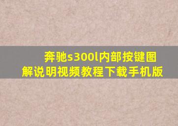 奔驰s300l内部按键图解说明视频教程下载手机版