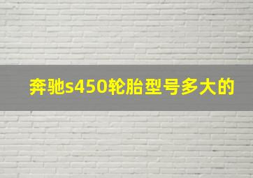 奔驰s450轮胎型号多大的