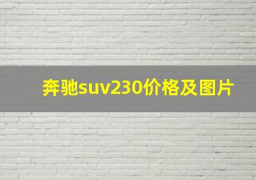 奔驰suv230价格及图片