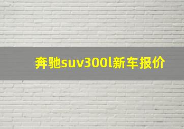 奔驰suv300l新车报价