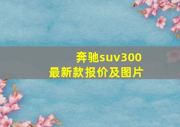 奔驰suv300最新款报价及图片