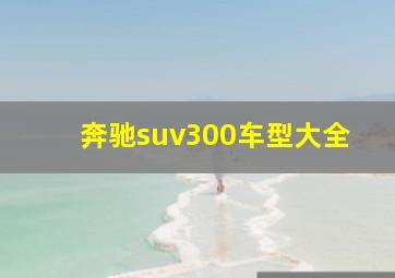 奔驰suv300车型大全