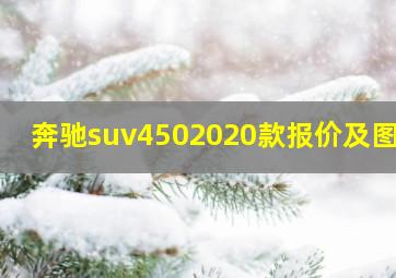 奔驰suv4502020款报价及图片