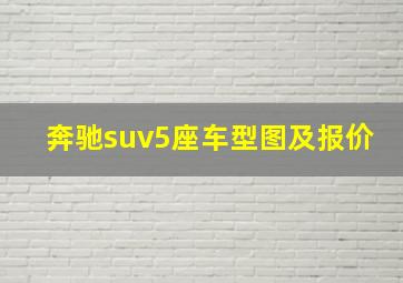 奔驰suv5座车型图及报价