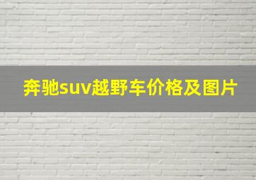 奔驰suv越野车价格及图片