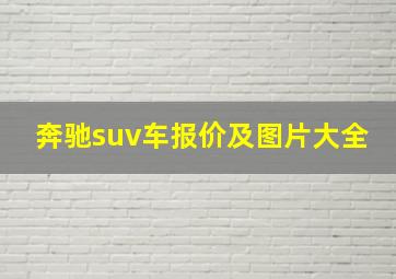 奔驰suv车报价及图片大全