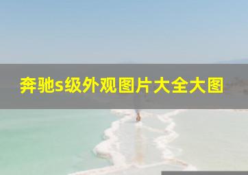 奔驰s级外观图片大全大图