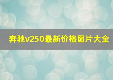 奔驰v250最新价格图片大全