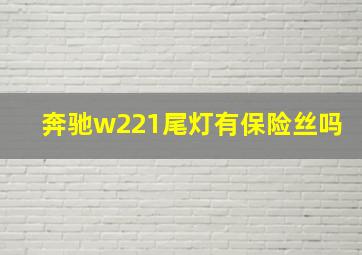 奔驰w221尾灯有保险丝吗